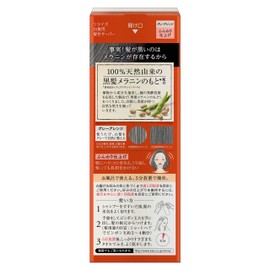 リライズ 白髪染め グレーアレンジ (自然なグレー) ふんわり仕上げ 男女兼用 本体 155g