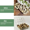 QIUMING 12 Grid Quail Egg Boxes Quail Egg Boxes Quail