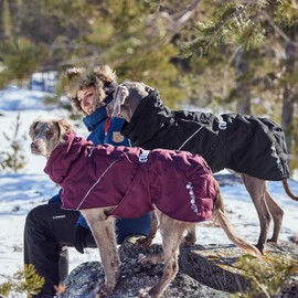 Hurtta Extreme Warmer III ECO (Eggplant 40)