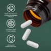 Primal Harvest Multi Collagen - Daily Supplement, Dairy & Gluten