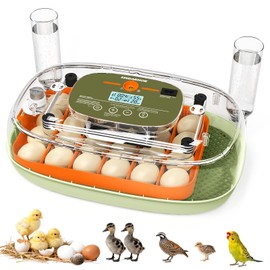 Sindarhor Egg Incubator for 24 Chicken Eggs with Automatic Turner, Digital Temperature Control & Humidity Display, Candler, Poultry Hatcher for Chicken, Duck, Quail, Birds (Green)
