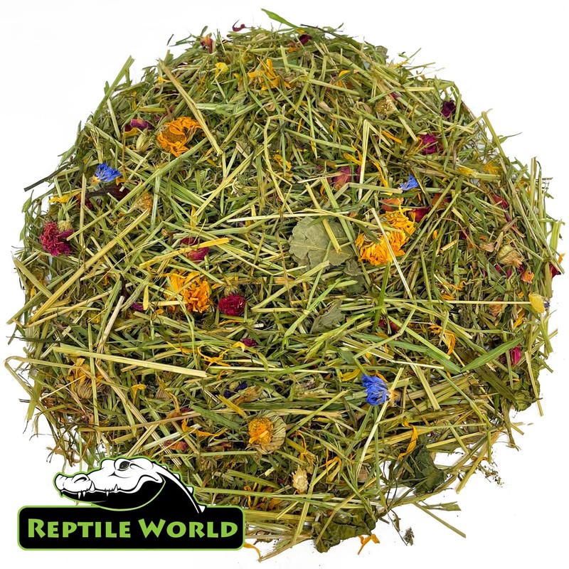 Reptile World Reptile World Tortoise Edible Bedding 10ltr Bag |