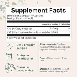 Micro Ingredients NAC with NAD+, 240 Vegetarian Capsules | 1,200 mg Per Serving | 2-in-1 N-Acetyl-L-Cysteine with Nicotinamide Adenine Dinucleotide | Non-GMO, cGMP Manufactured