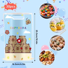 30 Gift Bags for Birthday Parties, Birthday Bags for Children's Parties, Party Supplies for Birthday Parties, Ideal Gifts and Small Gift Packaging Bags