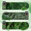 Woody Essential Oils Set - 6x10ML Woody Scents Fragrance Oil
