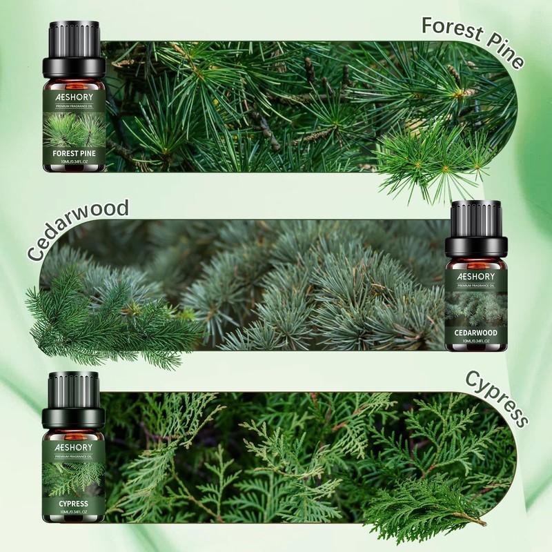 Woody Essential Oils Set - 6x10ML Woody Scents Fragrance Oil
