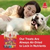 PLATO Grain Free Turkey Meat Bars Soft Dog Treats for