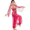 Women's Belly Dance Costume Set Indian Dance Performances Outfit, pink