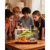 iPriro Fish Tank, 3 Gallon Ultra-Clear Glass Fish Aquarium, with