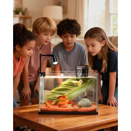 iPriro Fish Tank, 3 Gallon Ultra-Clear Glass Fish Aquarium, with Separator Plate for Betta, Fish Tank Starter kit with Filter and Adjustable Led Light, White