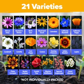 HOME GROWN Texas Wildflower Seeds 87,500+ Non-GMO Perennial Wildflower Seeds Mix for Attracting Bees, Birds & Butterflies - 22 Varieties Bulk Wild Flower Seed Mix for Full Sun & Shade Gardens (2 oz)