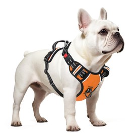 Timos Dog Harness Small Sized, No Pull Dog Harness with Neck Lockable Snap,No Choke Front Clip Dog Reflective Harness,Adjustable Metal Rings 3 Buckles,Easy Control Handle for Small Dogs Orange S