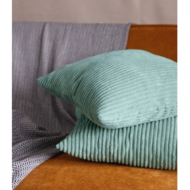 Pagnanno. Set of 2 Soft Velvet Cushion Covers 45x45cm(18x18 Inches) Corduroy Throw Pillowcases Cushion Covers for Chairs,livingroom,bedroom with Invisible Zipper(18"x18" (Pack of 2), Light Turquoise)