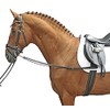 HKM 1873 Reins, Auxiliary Reins, Cowhide Leather, Pony, 4000315562572
