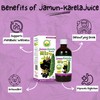BASIC AYURVEDA Jamun Karela Herbal Mix Juice | Made with