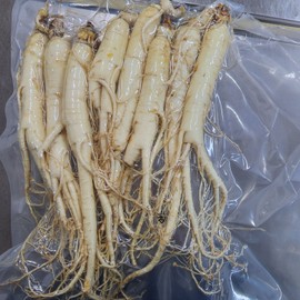 풍기인삼 6년근 수삼 750g 세척삼 16-18편 6-Year-Old Donguibogam Ginseng 750g Clean Ginseng Slices 16-18 pieces, 1개