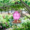 BOLITE 18016-P Comedero para colibríes, Comedero de Cristal para colibríes