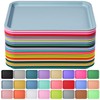 Mumufy Plastic Fast Food Trays Bulk Colorful Restaurant Serving Trays