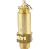 Fittingteile Brass Safety Valves Adjustable (Not Component Tested) Boiler Compressed