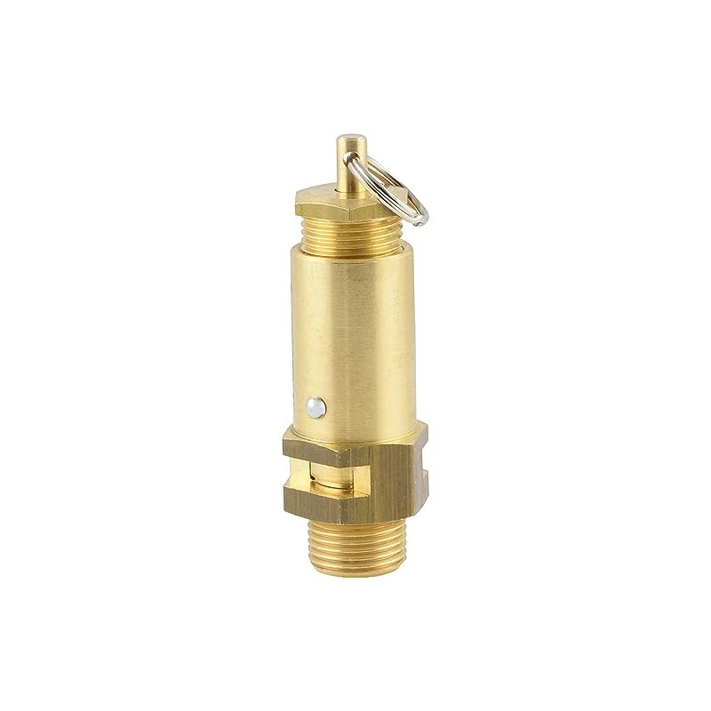 Fittingteile Brass Safety Valves Adjustable (Not Component Tested) Boiler Compressed
