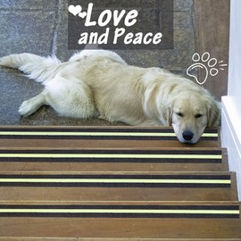 ONTWIE Anti Slip Grip Tape Glow in Dark, Safety Tape 2inch X 16.4ft Luminous in Dark Improves Grip and Non Slip Safety Stair Treads - Indoor & Outdoor