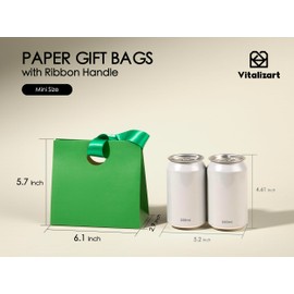 Vitalizart - Juego de 10 bolsas de regalo de papel con asas de cinta, reutilizables a granel para envolver regalos para niñas y niños, cumpleaños, despedidas de soltera, regalos de fiesta, bolsas de
