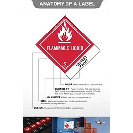 Labelmaster HML13D Corrosive Worded Label with Dotted Border, Paper, Hazmat, 4" x 4" (Pack of 500)