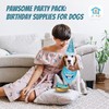 JT PET Dog Birthday Boy Party Pack with Bandana, Star