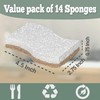 Natural Kitchen Sponge - Biodegradable Compostable Plant Based Coconut Scrubber