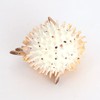 zalati Simulation Pufferfish Toy Figurine Realistic Plastic Wild Pufferfish Sea