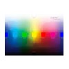 Neve Cosmetics ArtDiary Palette, 12 Pressed Pigments for Each Colour