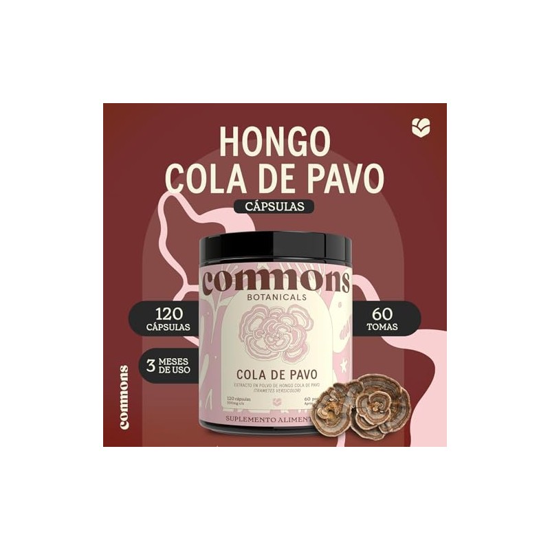Hongos Adaptógenos Suplemento Hongo Cola Pavo 120 Cápsulas Extracto 100