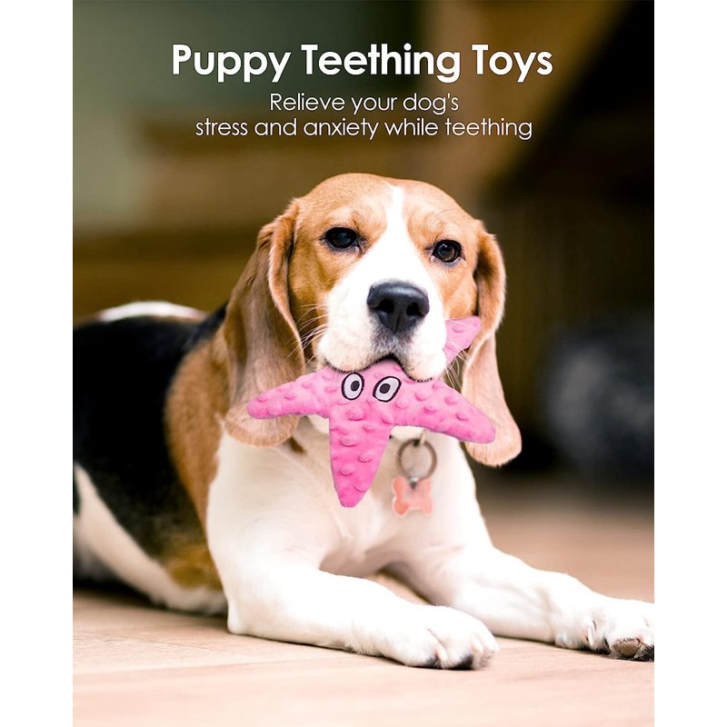 Artinova Dog Squeaky Crinkle Stuffless Chew Toy Easy Puzzle Cute