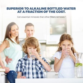 6 Stage- Alkaline Antioxidant | KDF | Mineral pH Balancing Ionizer Drinking Water Filter Inline | 2.5"x 12"
