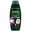 Palmolive Buy Palmolive Luminous Oils Coconut Oil & Frangipani Conditioner 350ml Online