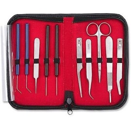 10 pcs Entomological Dissecting Instrument Kit