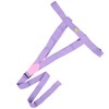 Professional Wheelchair Safety Belt Anti Slip Restraints Fixing Straps for