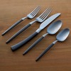 Oneida B1010020Al20 Adjacent Midnight 20 Piece Everyday Flatware Set, Service