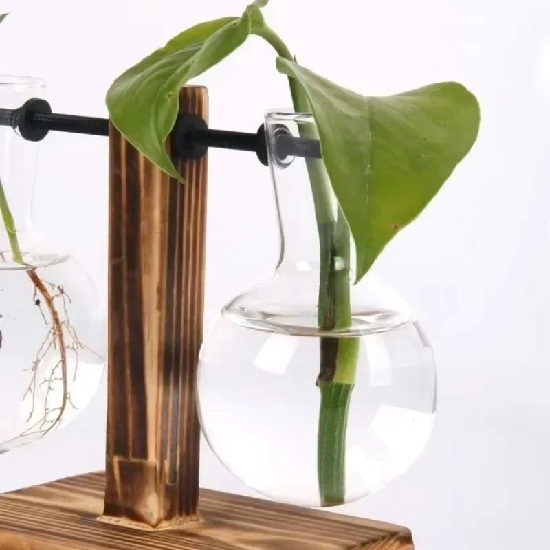 Wood and Glass Plant Propagation Stand for Indoor Cuttings –