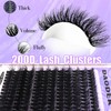 DAODER 200D Volume Cluster Eyelash Extensions, D Curl, Soft &