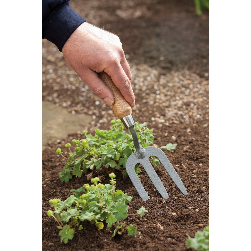 Spear & Jackson 4094KEW Kew Gardens Collection Neverbend Carbon Weed