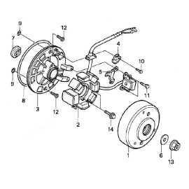 hozlyblogors MAGNETO GENERATOR STATOR MOUNT PLATE KIT FOR HONDA CRF50 XR50 TRX90 XR70 CRF70