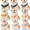 GZMZC Dog Chain Collar High Polished Stainless Steel Cuban Link