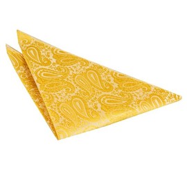 DQT Premium Woven Microfibre Paisley Patterned Gold Men's Fashion Wedding Handkerchief Pocket Square Hanky Accessory