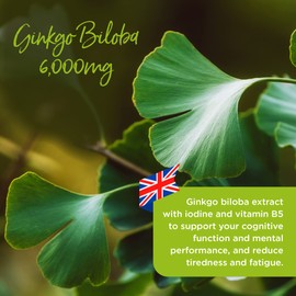 Healthspan Ginkgo Biloba 6,000mg | High Strength | 180 Tablets | Iodine | Vitamin B5 | Flavone Glycosides | Vegan