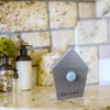 Singing Bird Box Dejama Ambient Noise Birds Chirping Songs Zwitscher