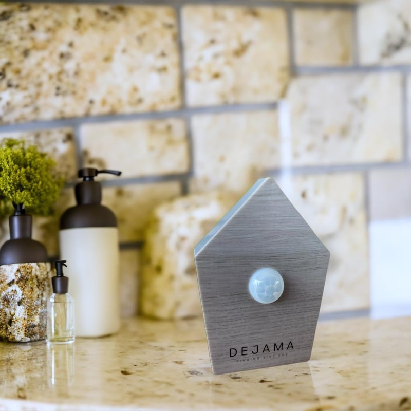 Singing Bird Box Dejama Ambient Noise Birds Chirping Songs Zwitscher