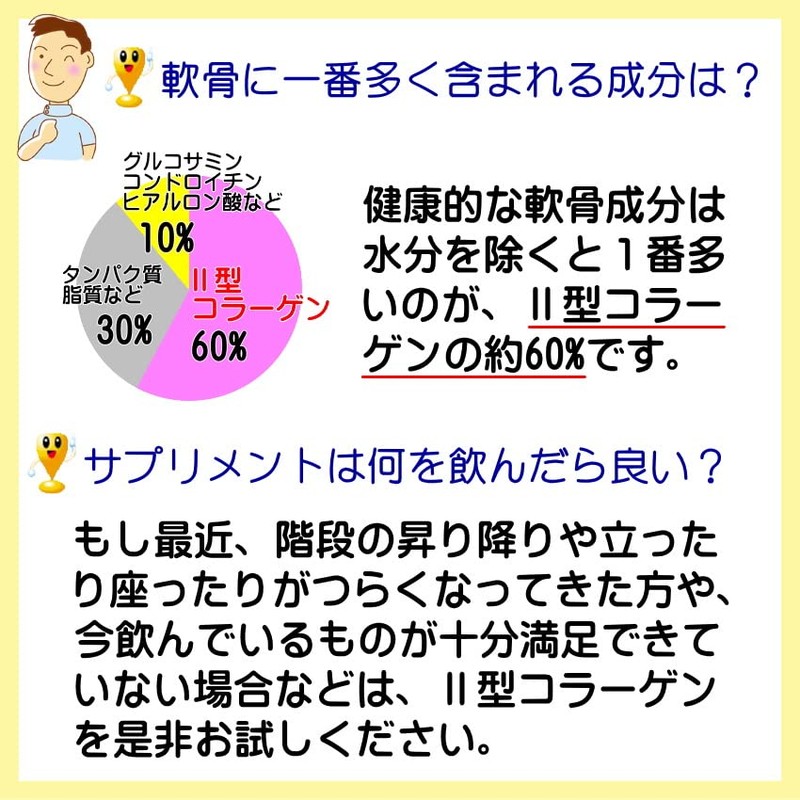 Undenatured Type 2 Collagen UC-II Collagen Power 30 Grains 30