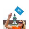 25 Packs Small United Nations Flags on Handheld Stick，Miniature United
