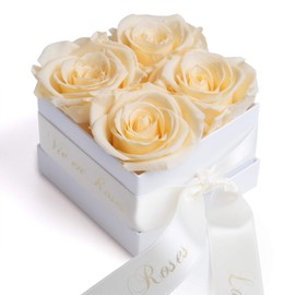 ROSEMARIE SCHULZ Heidelberg Preserved Champagne Roses in Box - Infinity Flowers Long Lasting in White Box with Satin Ribbon in Beige (Champagne)